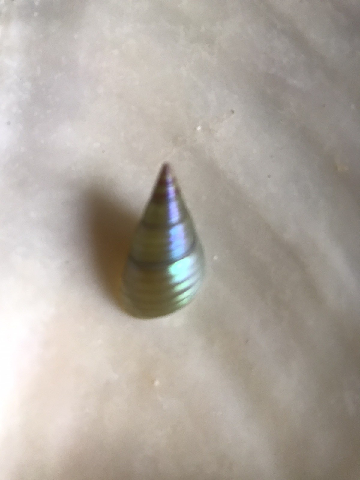 A BOX OF 10 KING MAIREENER SHELLS