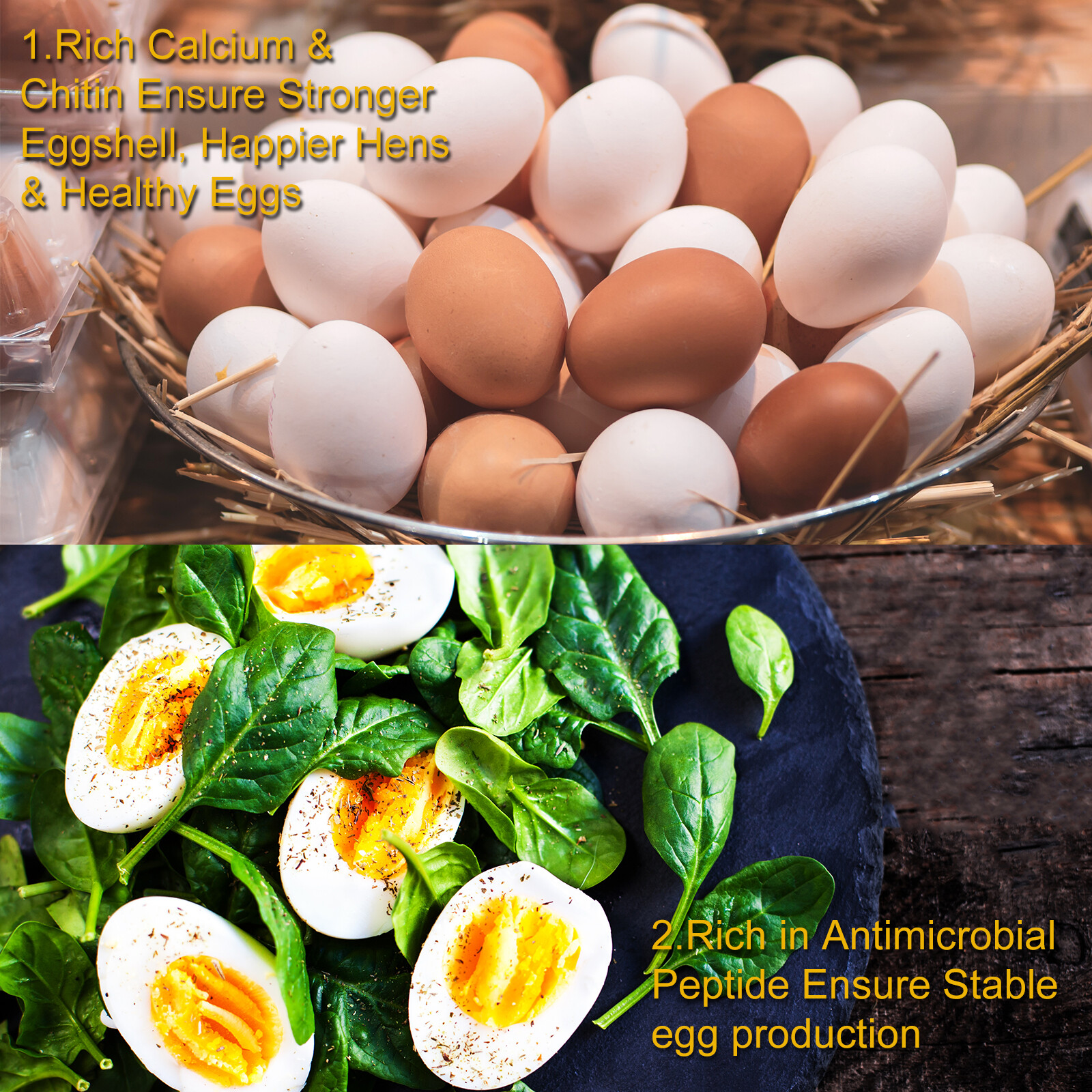 22 LBS Dried Black Soldier Fly Larva High Calcium Treats for Chickens Birds