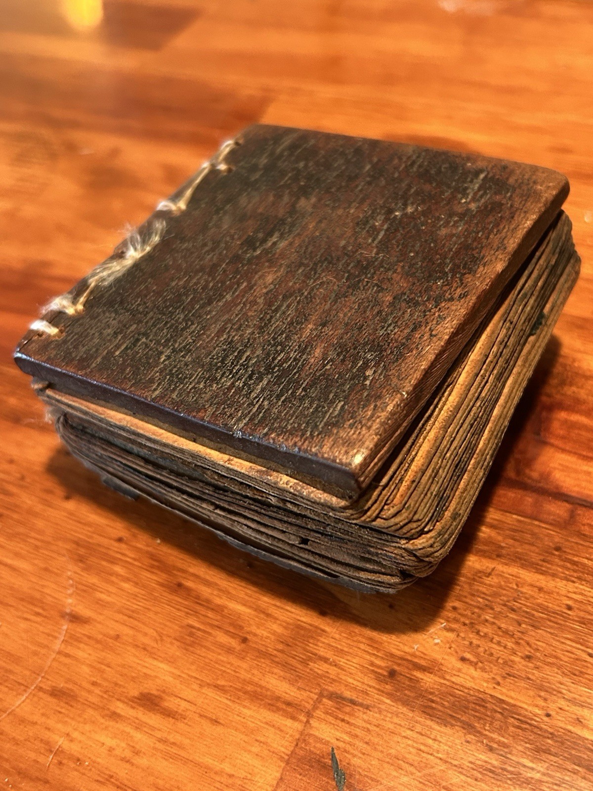 Antique African / Ethiopian Coptic Ge'ez Script Bible On Vellum w/ Docs 1800s