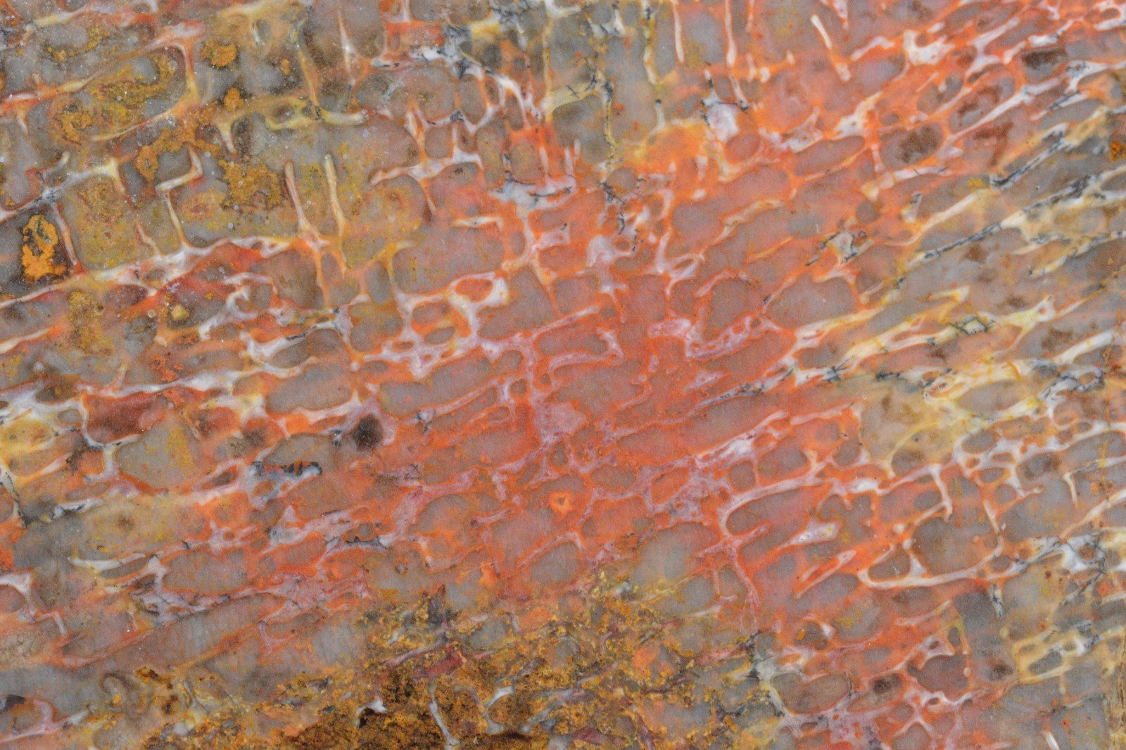 Orange Agatized Dinosaur Bone, New Mexico, 120 grams