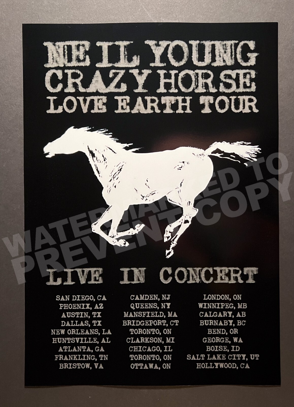 Neil Young 2024 Crazy Horse Love Earth Tour Promo Poster
