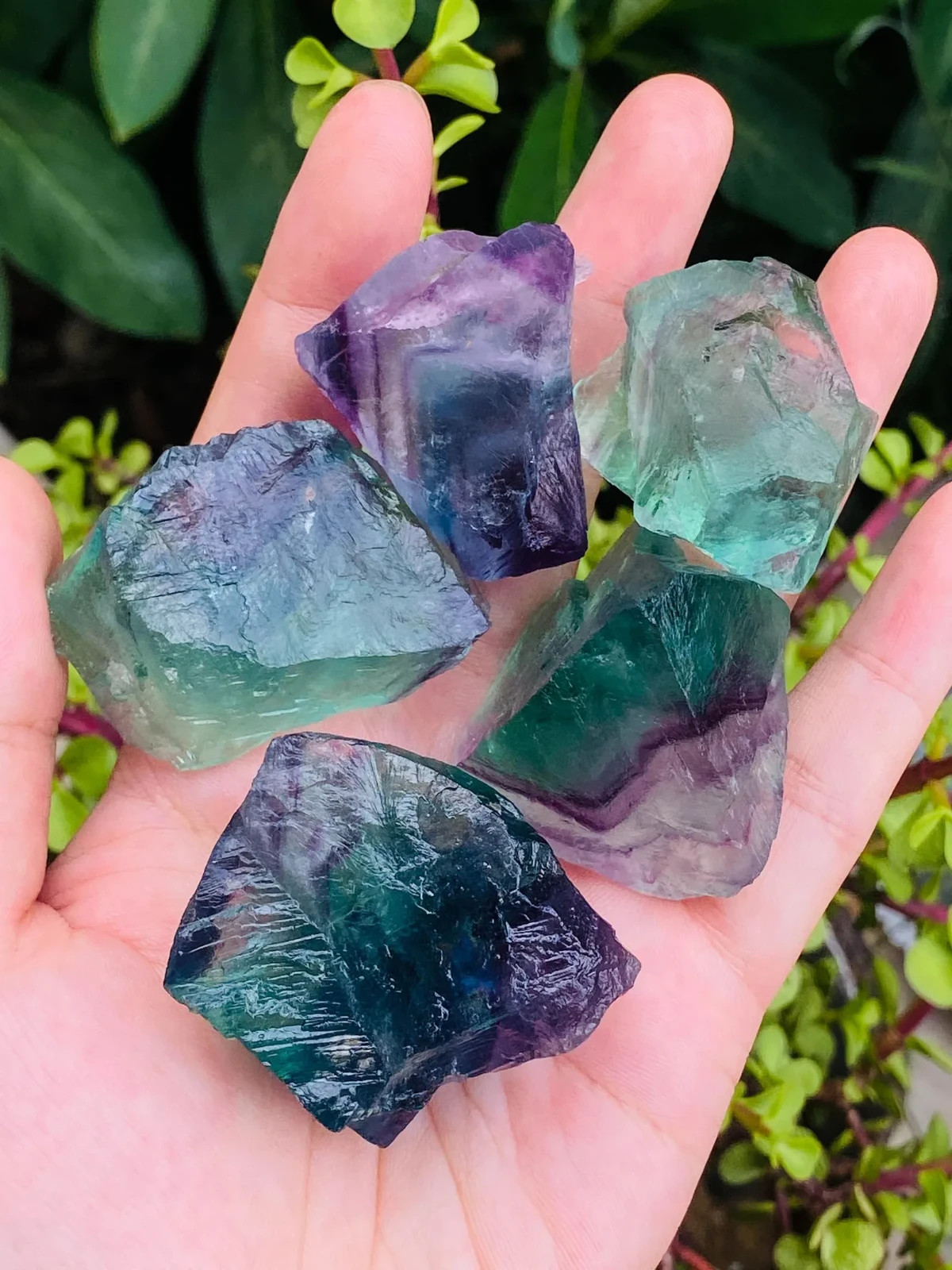 3PCS Raw Rainbow Fluorite Stone Natural Rough Pocket Crystals Mineral Specimens