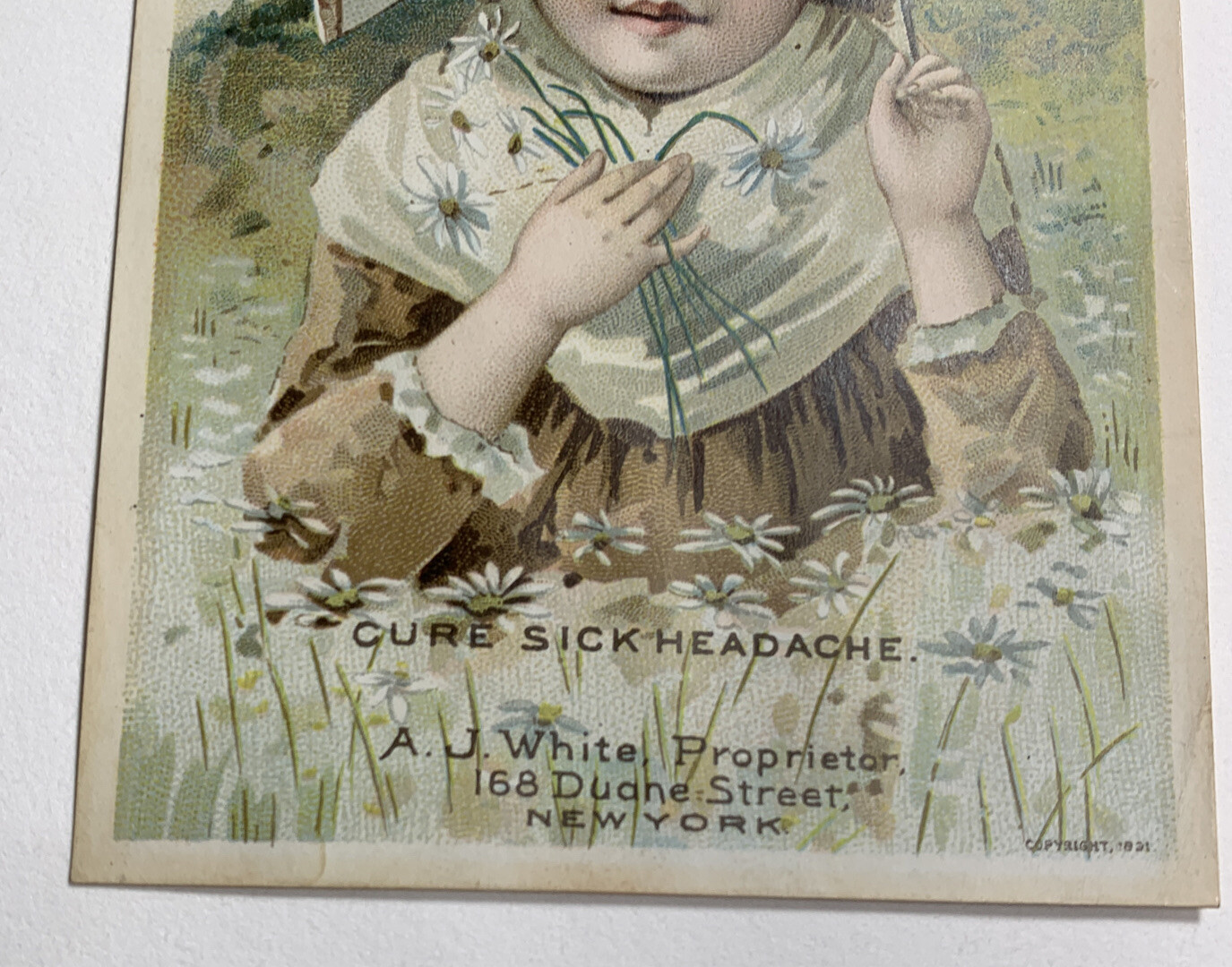 Shaker Family Pills Litho Trade Card 1891 Matted Ready For A Frame