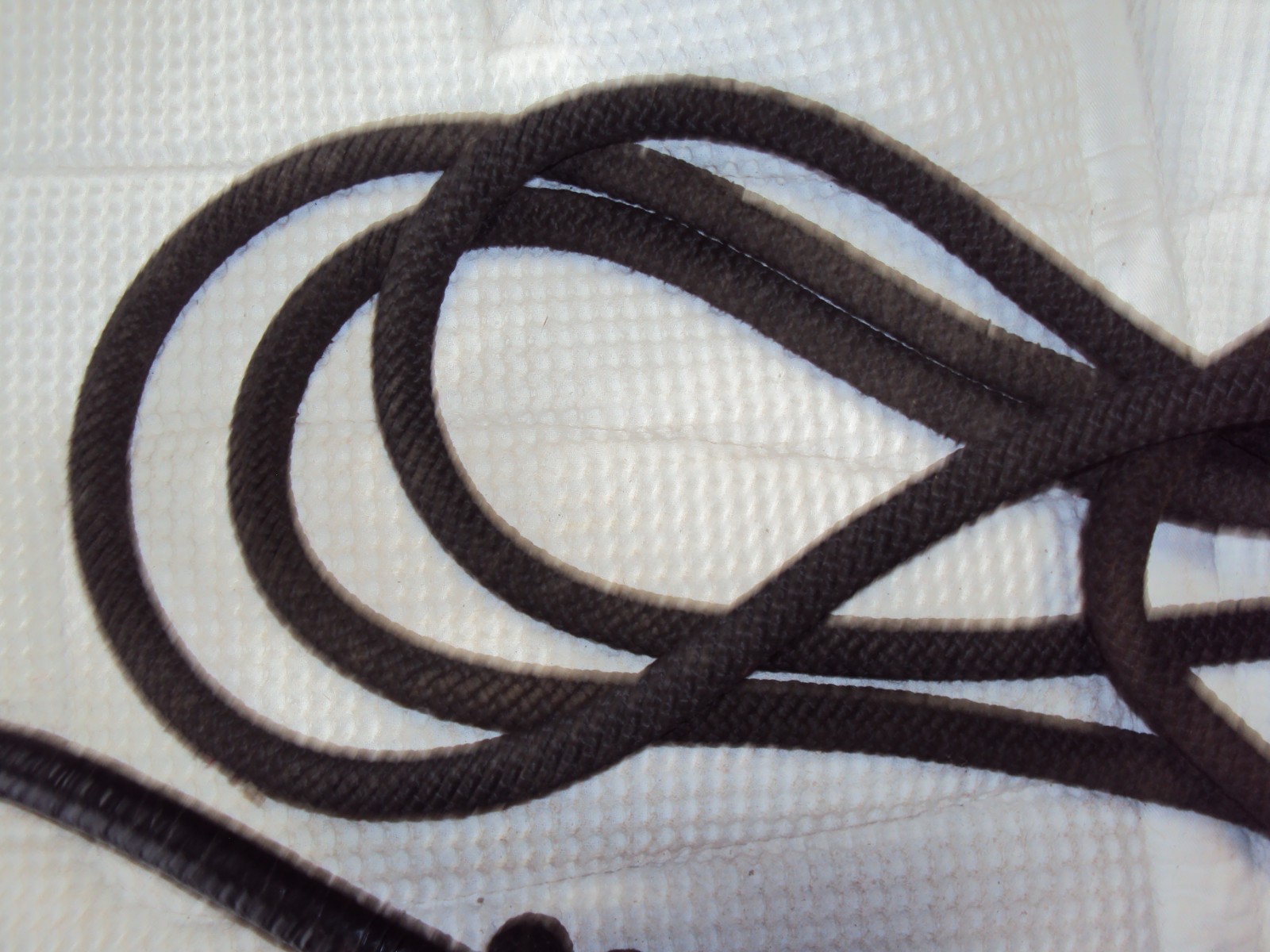 Western Rawhide Braided Bosal & Mecate Reins - Tassels - Full Size - GREAT