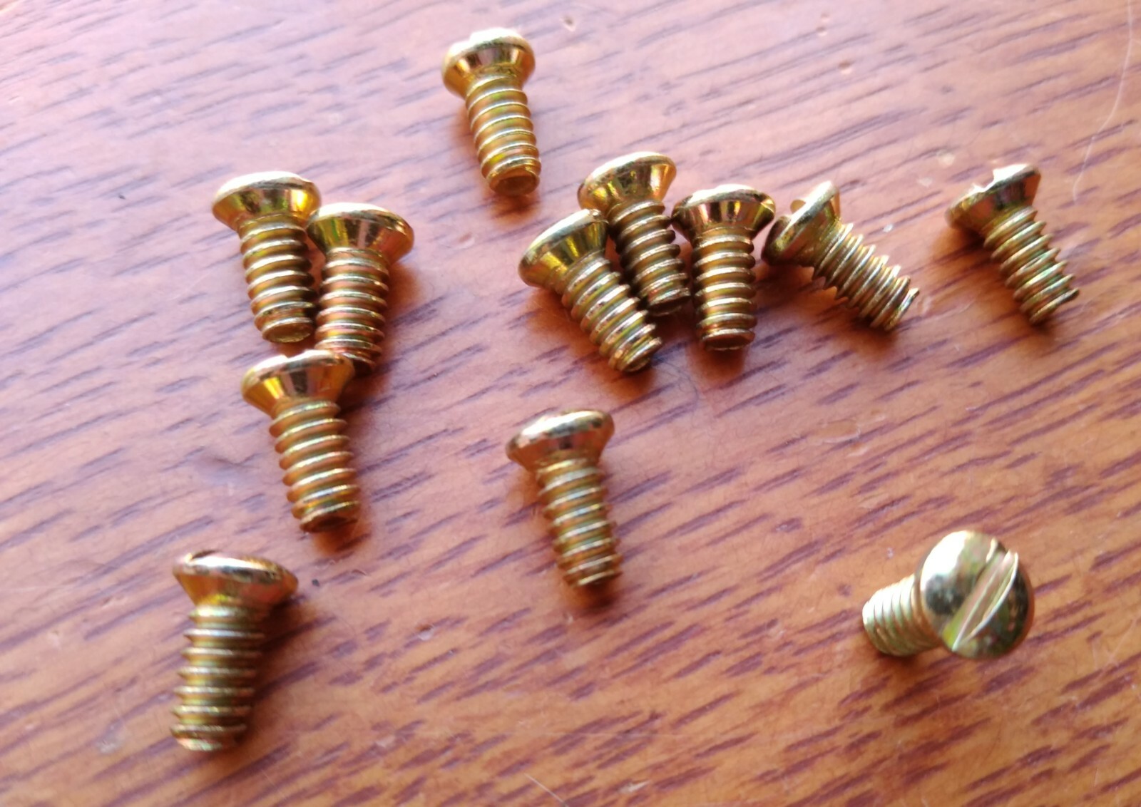 Twelve New Brass-Plated Door Knob Screws for Antique Doorknobs