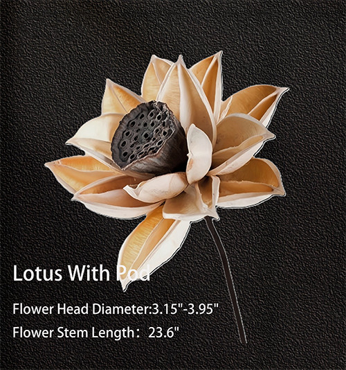 Elegant Dried Flower Arrangements - Perfect for Home Decor & Events 03