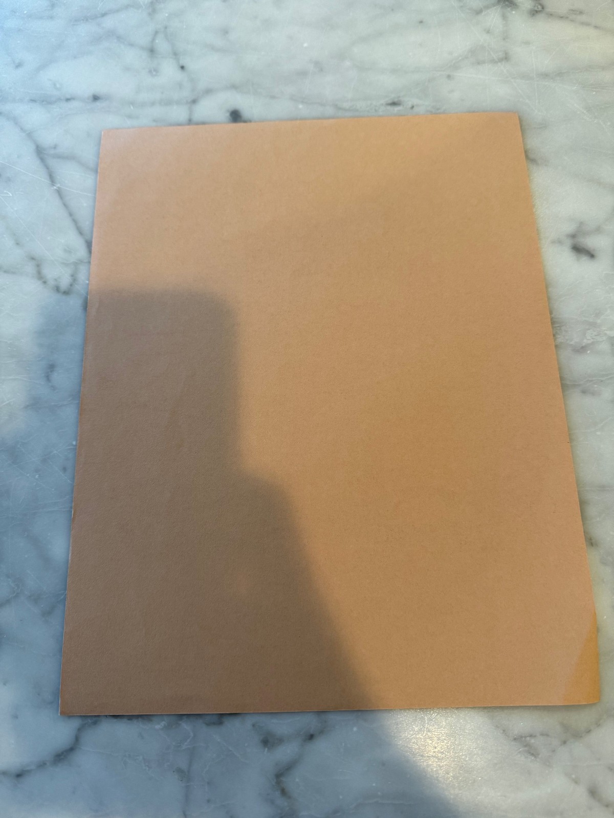 Tribal Stomp Picnic & Dance Butterfield, Big Bro Berkeley 10/1978 Vintage Flyer