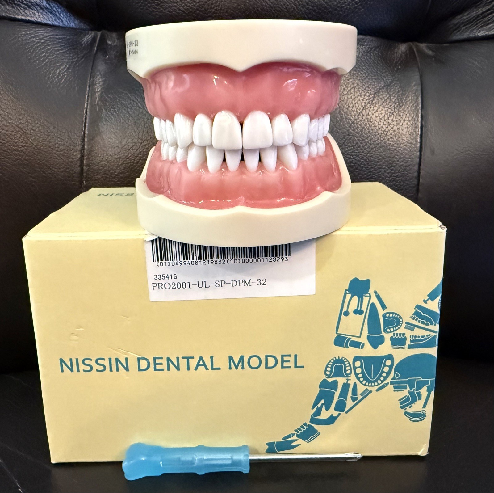 NISSIN PRO2001-UL-UP-DPM-32 Dental Model Kilgore Typodont Teeth
