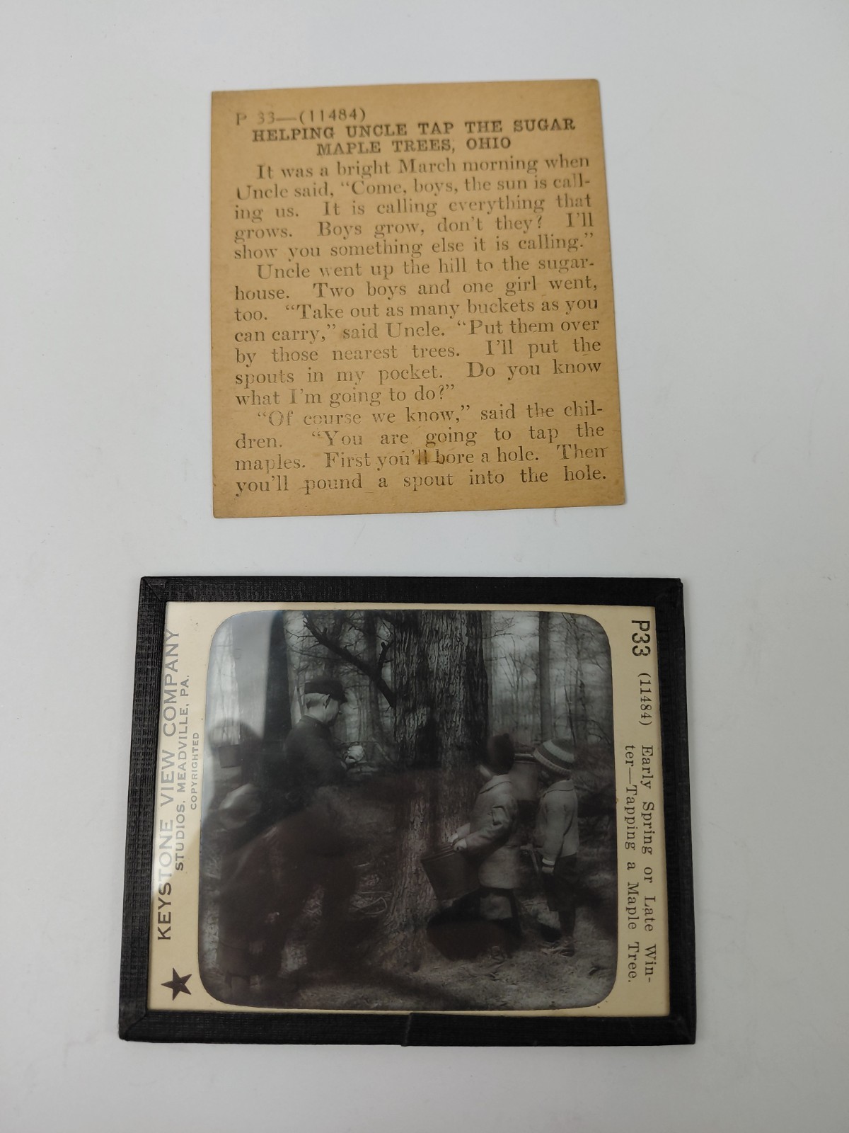 Magic Lantern Glass Slide Photo Keystone P33 Tapping Sugar Maple Tree Ohio