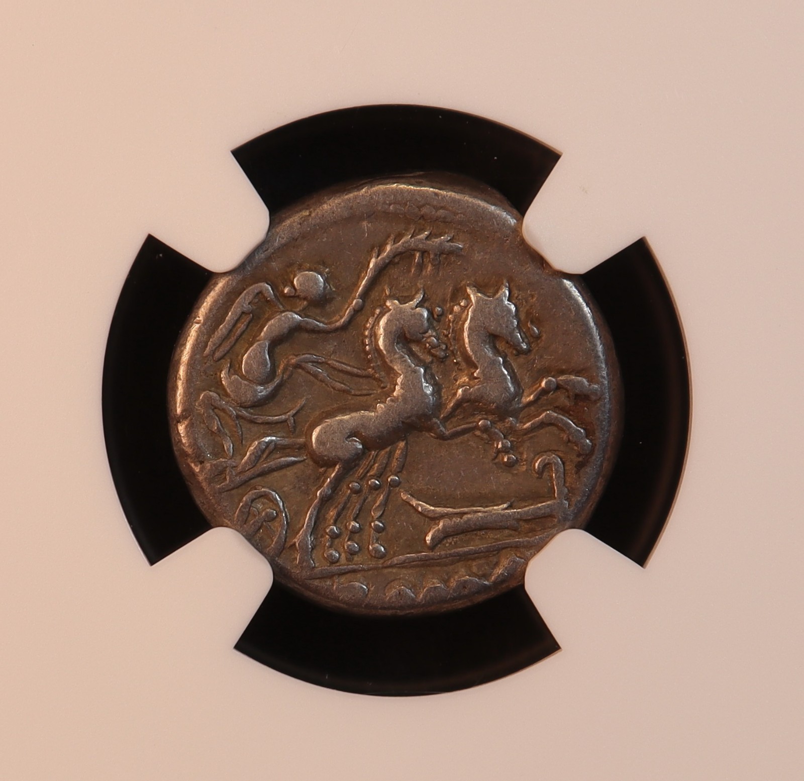 Roman Republic M. Cipius Denarius (115 BC) - NGC VF! Gorgeous & Rare Toning! PQ+