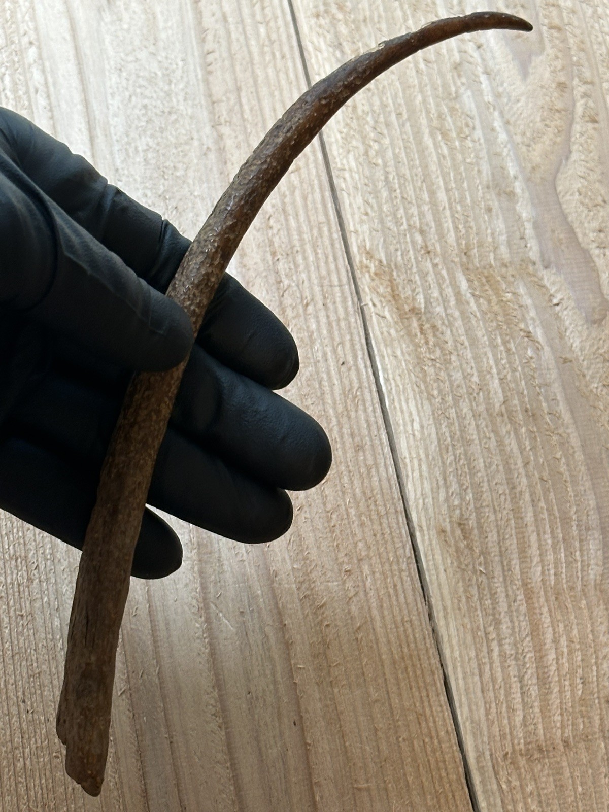 Tomachee Artifacts 👣 ESKIMO INUITS LARGE ROOT PICK TOOL BERING SEA AK🔥