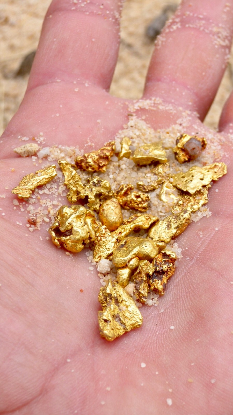 Presidential 10 Gram Gold Nugget Hunt Rich Unsearched Paydirt With Added Gold