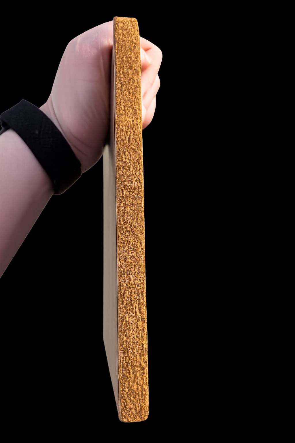 Vintage Ringling Bros Circus 1909 Menagerie Poster Cork Back Plaque Wall Art