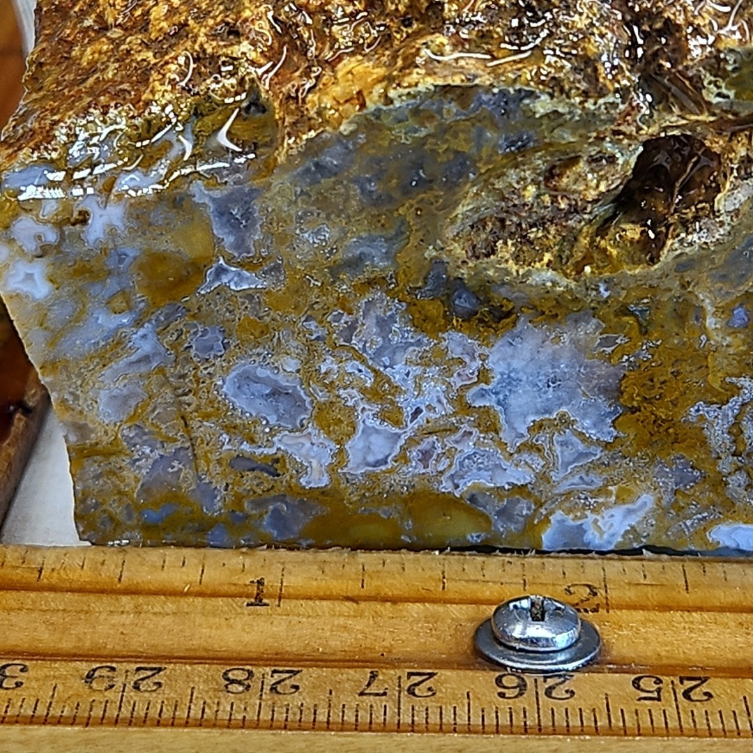 Royal blue agate rough. Spectacular blue colors, sharp banding 2LBS 4.7oz.