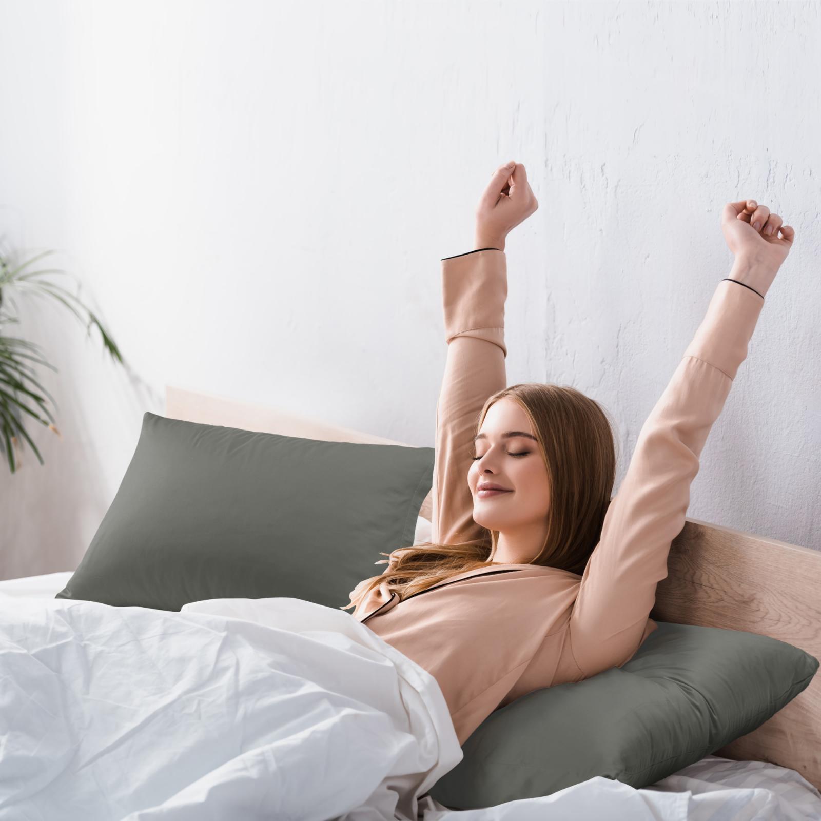 Egyptian Cotton Pillow Cases Hidden Zipper Pillowcase Standard Queen King 2 Pack