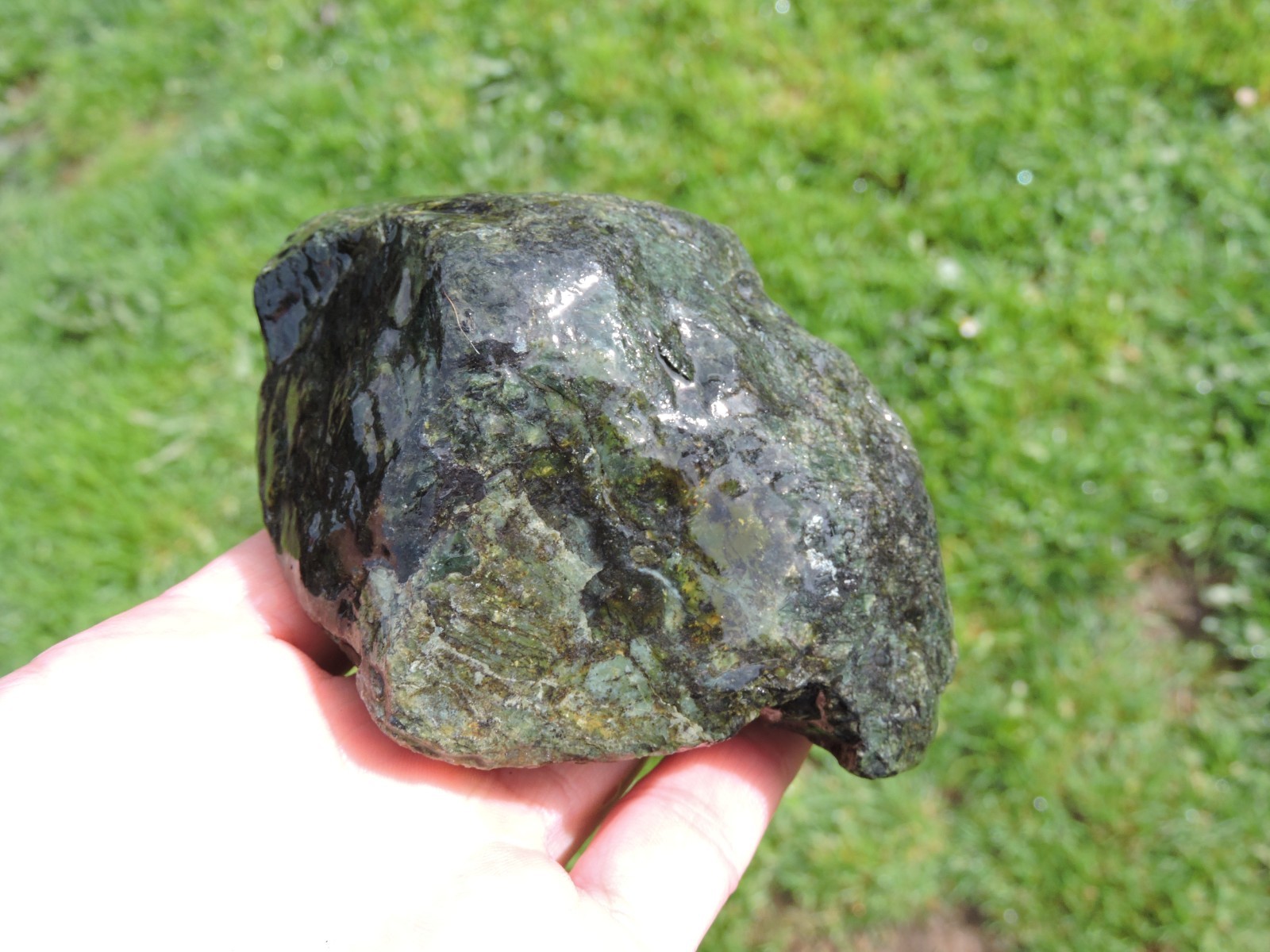 OREGON DARK GREEN SERPENTINE Rough Stones. *MAGNETIC* 100% Natural (8 lb)