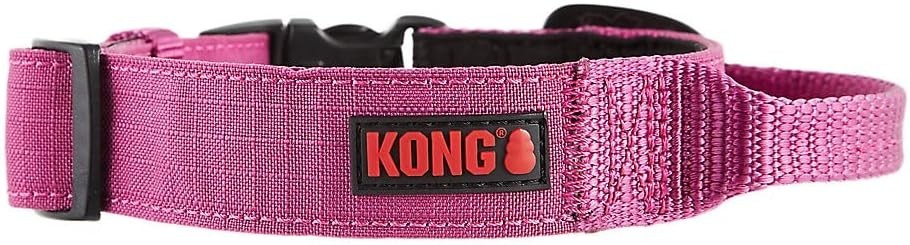 Kong Dog Collar