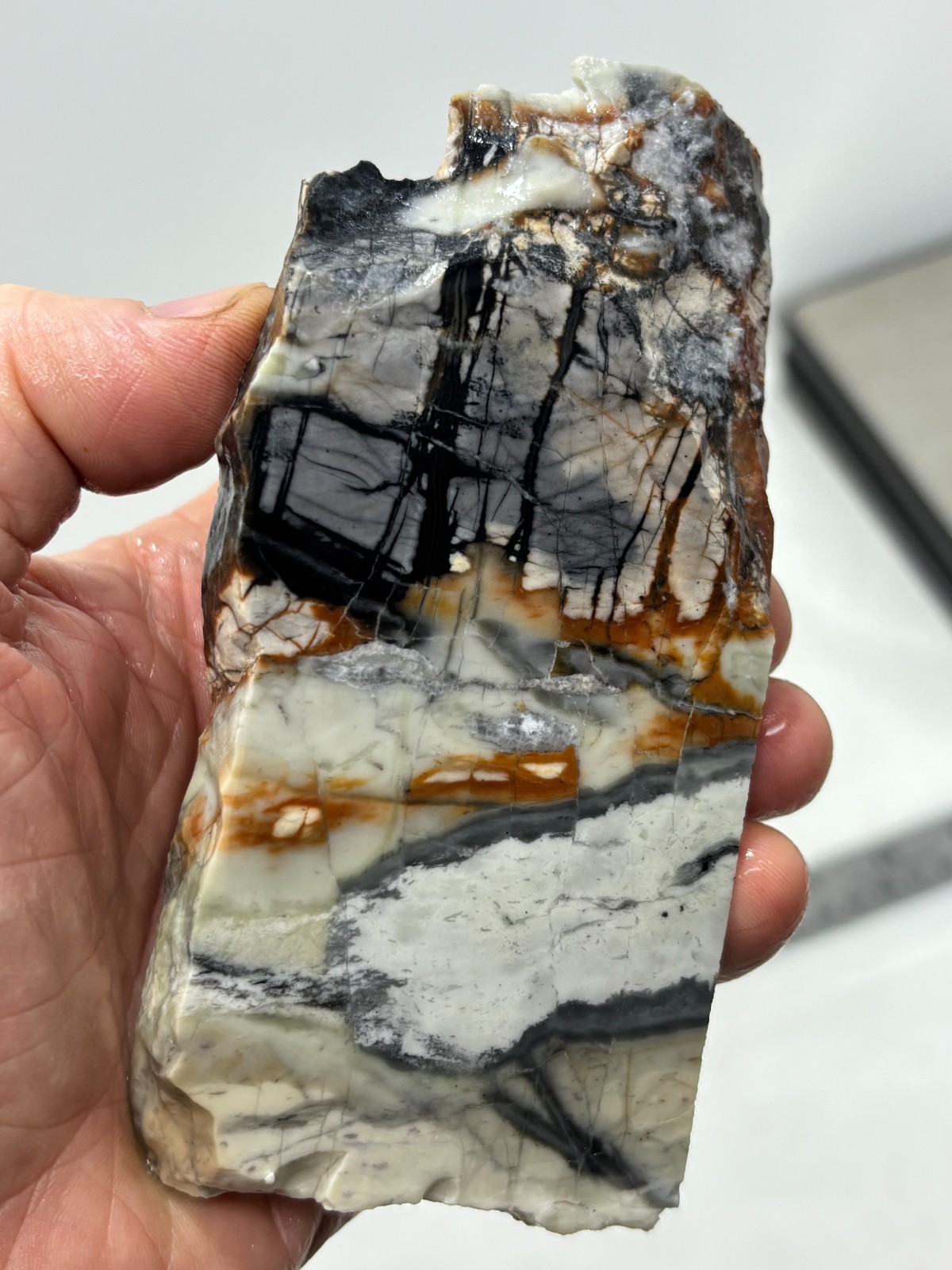 Picasso Marble (Jasper) end Slab Cabbing Lapidary Utah Combo Ship Avail