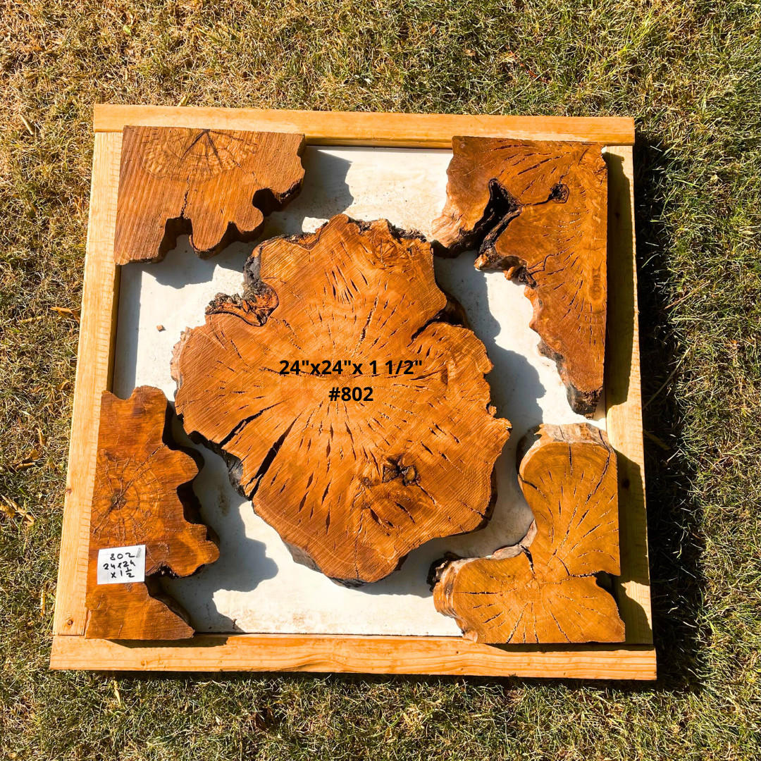 Live Edge Olive Wood for Crafters and Resin Table Makers