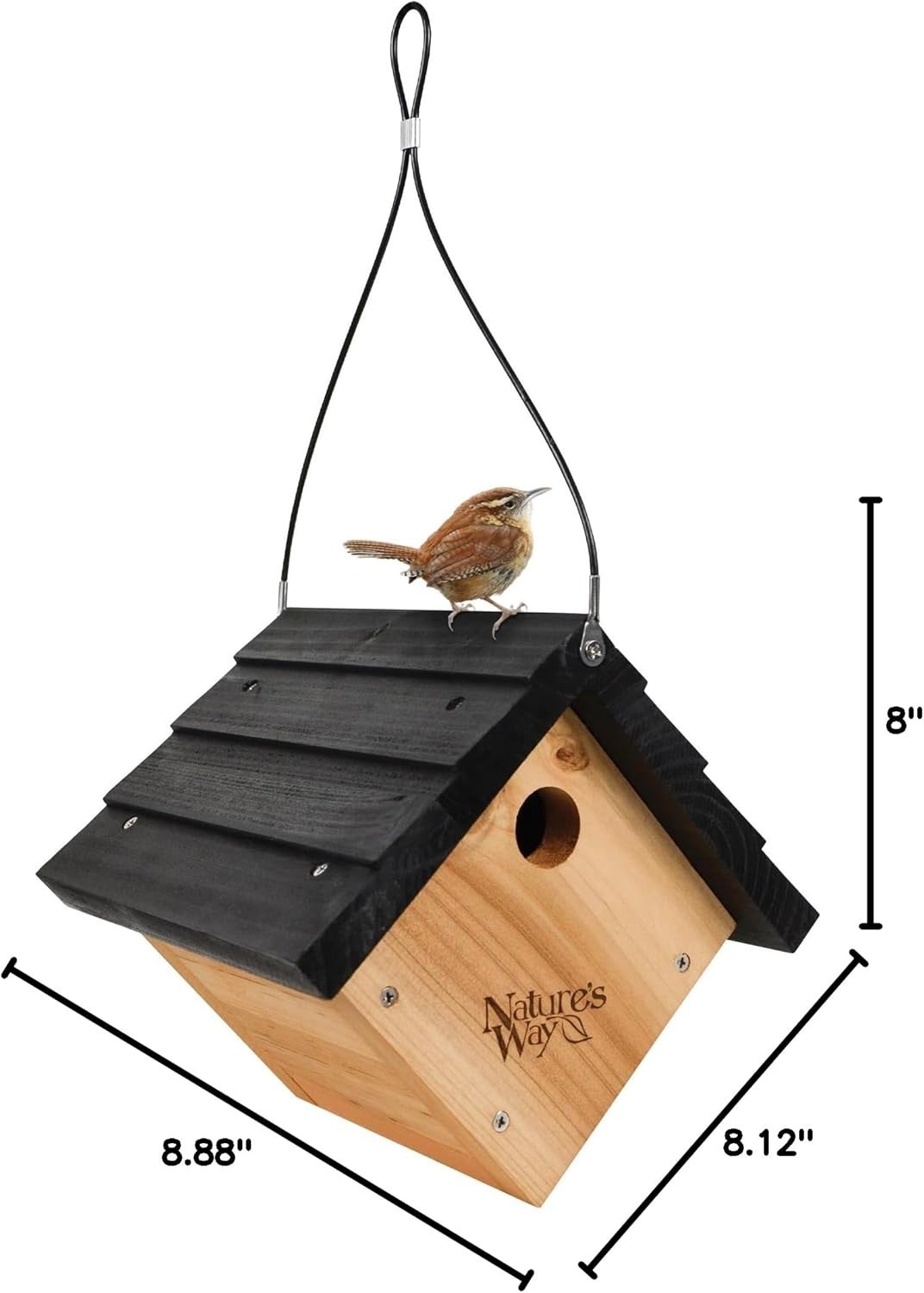 Attractive Cedar Birdhouse with Ventilation & Clean-Out Doors - 8" x 8.875"
