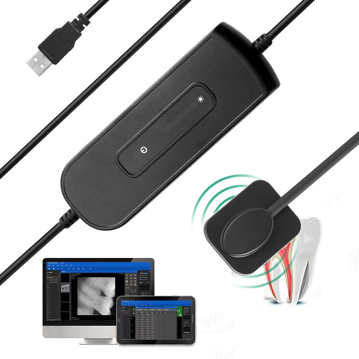 USB Digital Radiography Dentist Dental X-ray Image Tooth Sensor 1.5 / 0.8 Holder