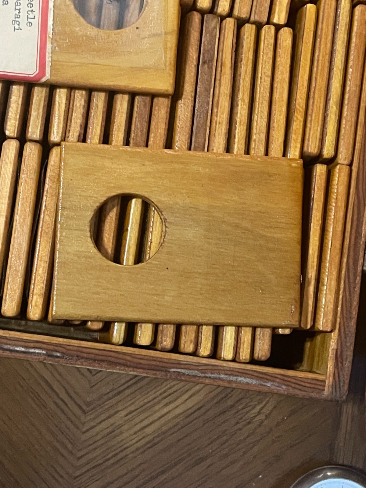 Entomology Slides Microscope Biology Insects With Box 1950's