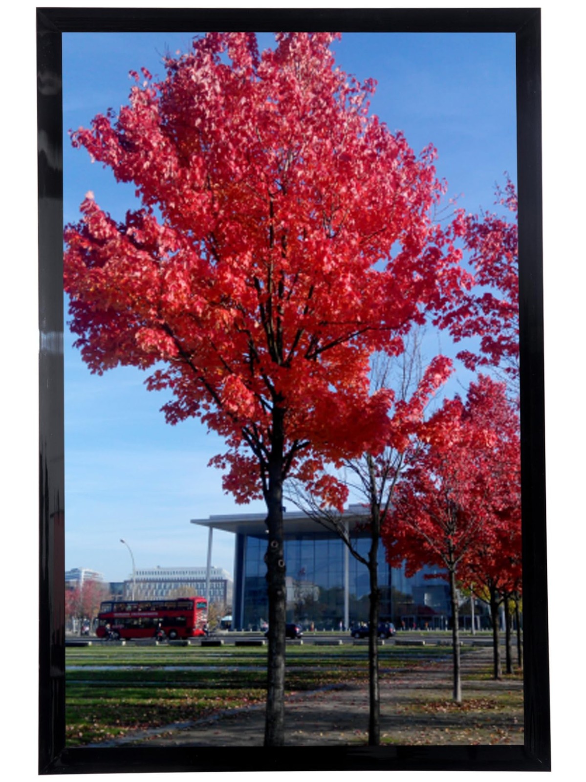 11x17 Picture Frame for Wall Black, Display pictures 11x17 Poster Frame, Wall...