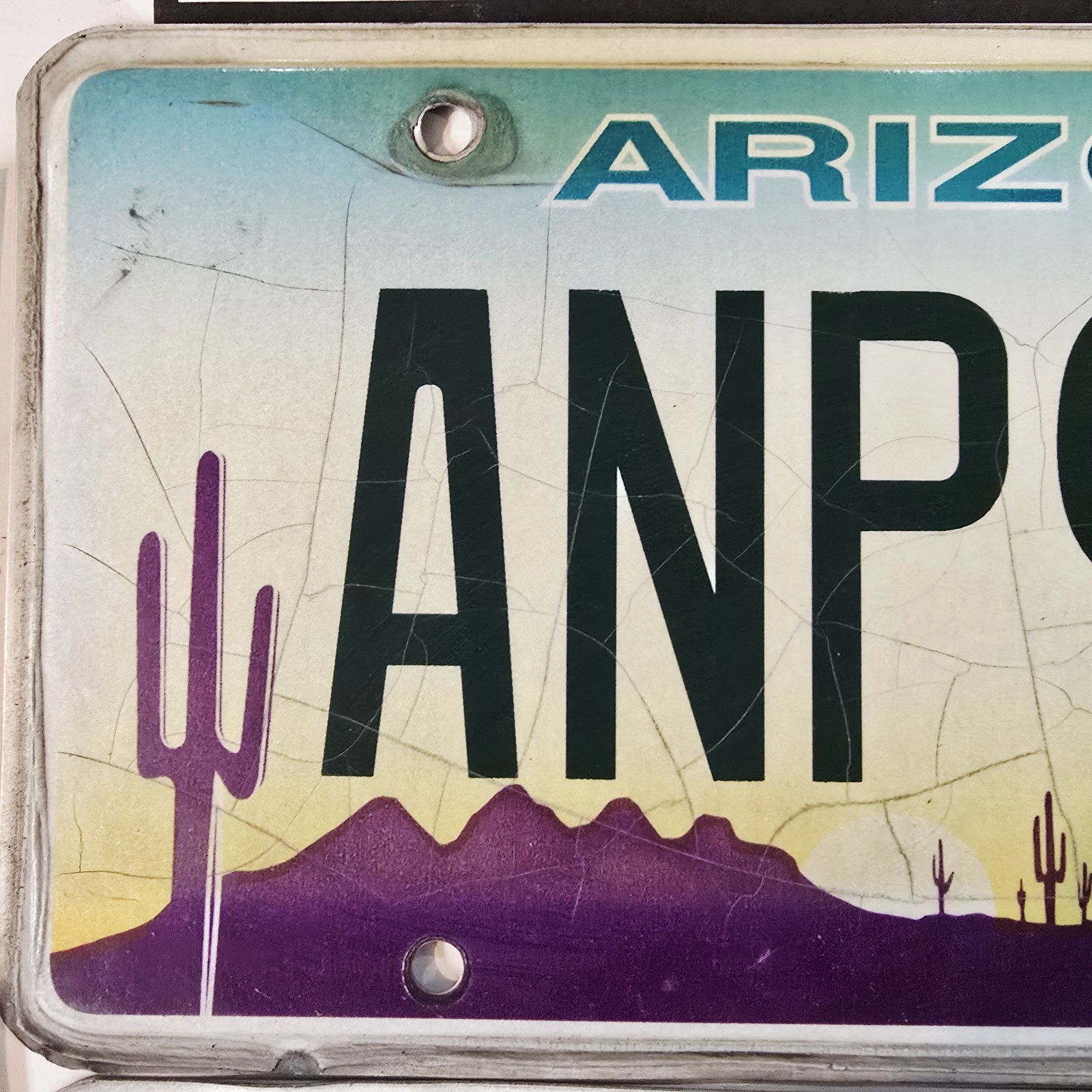 Florida & Arizona License Plate Lot 2 Authentic Tags ANP9391 - 145 8YI 2