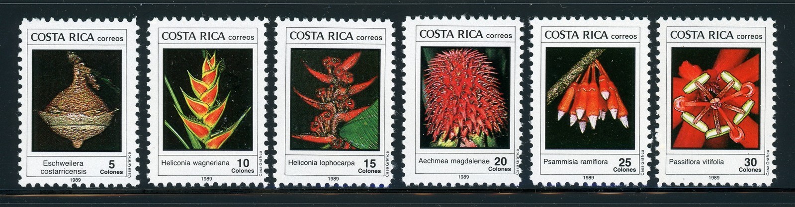 COSTA RICA MNH: Scott #410-415 Indigenous Flora #2 CV$10+