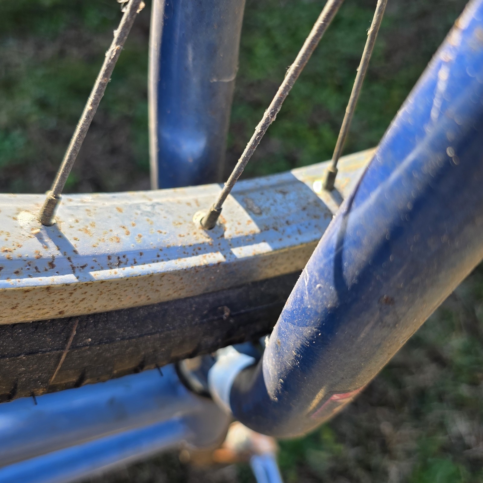vintage Ross Beach Commander cruser bike