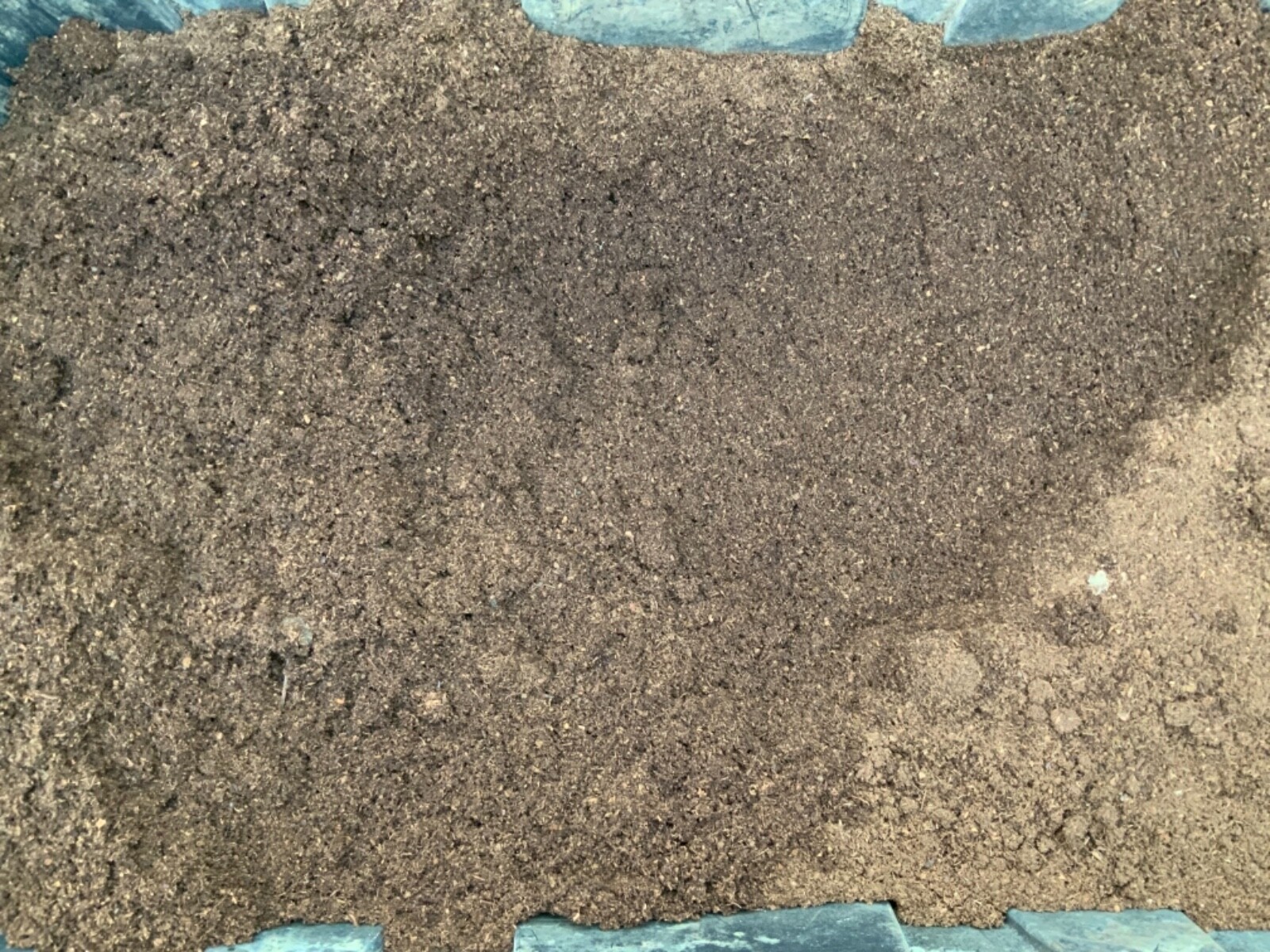 Perlite, Vermiculite & Peat Moss - Great Seed Starting Mix