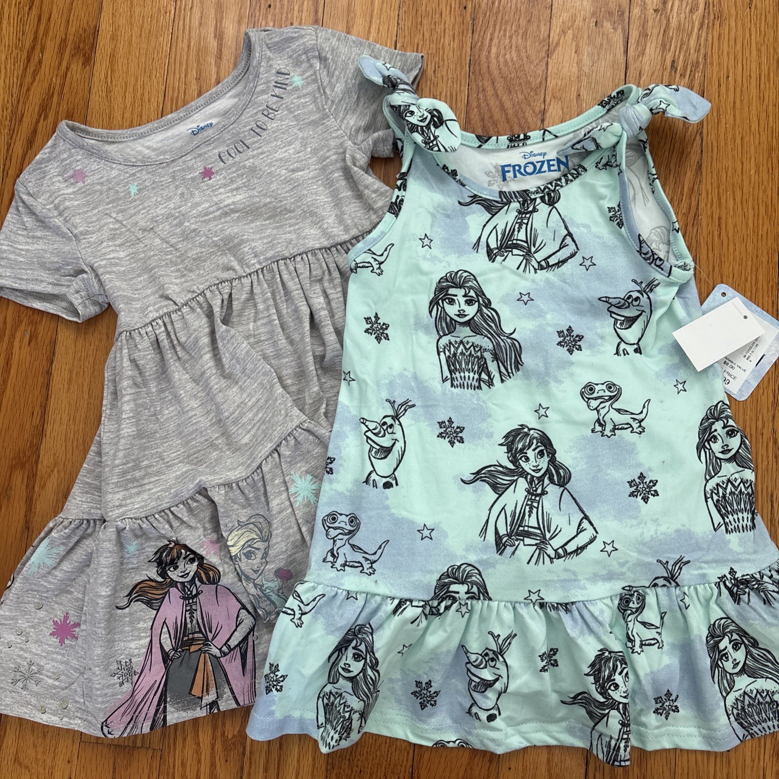 (2) Toddler girls size 2T Disney Princess frozen spring summer dresses