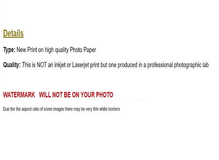 WW2 Picture Photo Erwin Rommel the famous German field Marshall of WWII 778