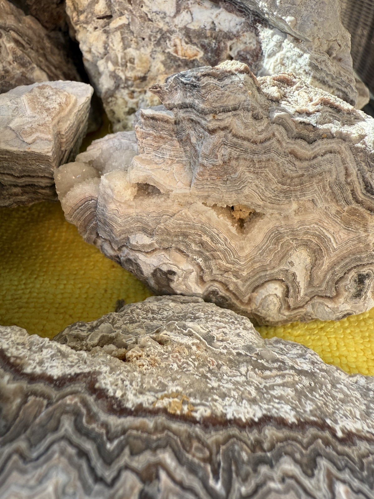 Crazy Lace Agate, Rough Lace Agate From Summerville Ga 10lbs Lot