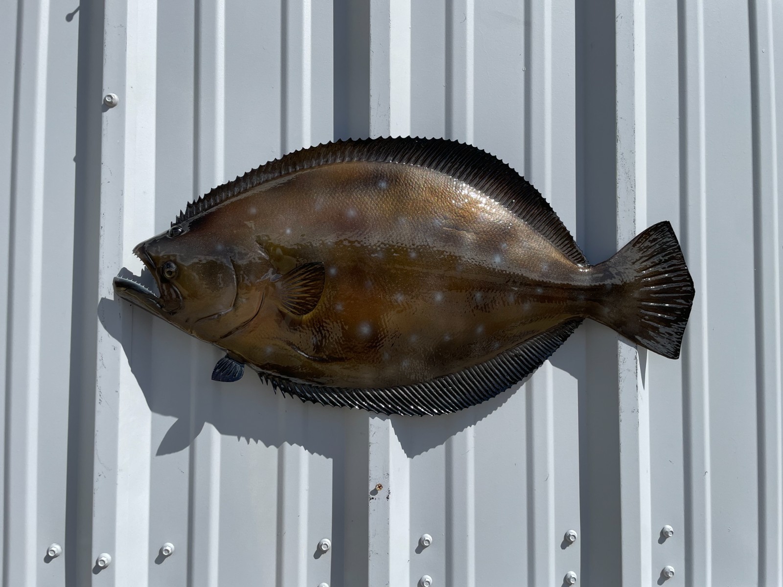 27" Flounder Half Mount Fish Replica - Quick Production
