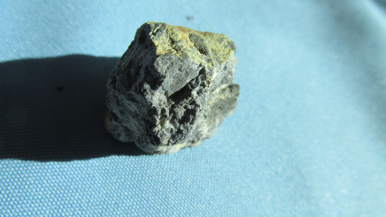 Cripple Creek Colorado Roasted Sylvanite Visible Free Gold Specimen-1.50 x 1.00