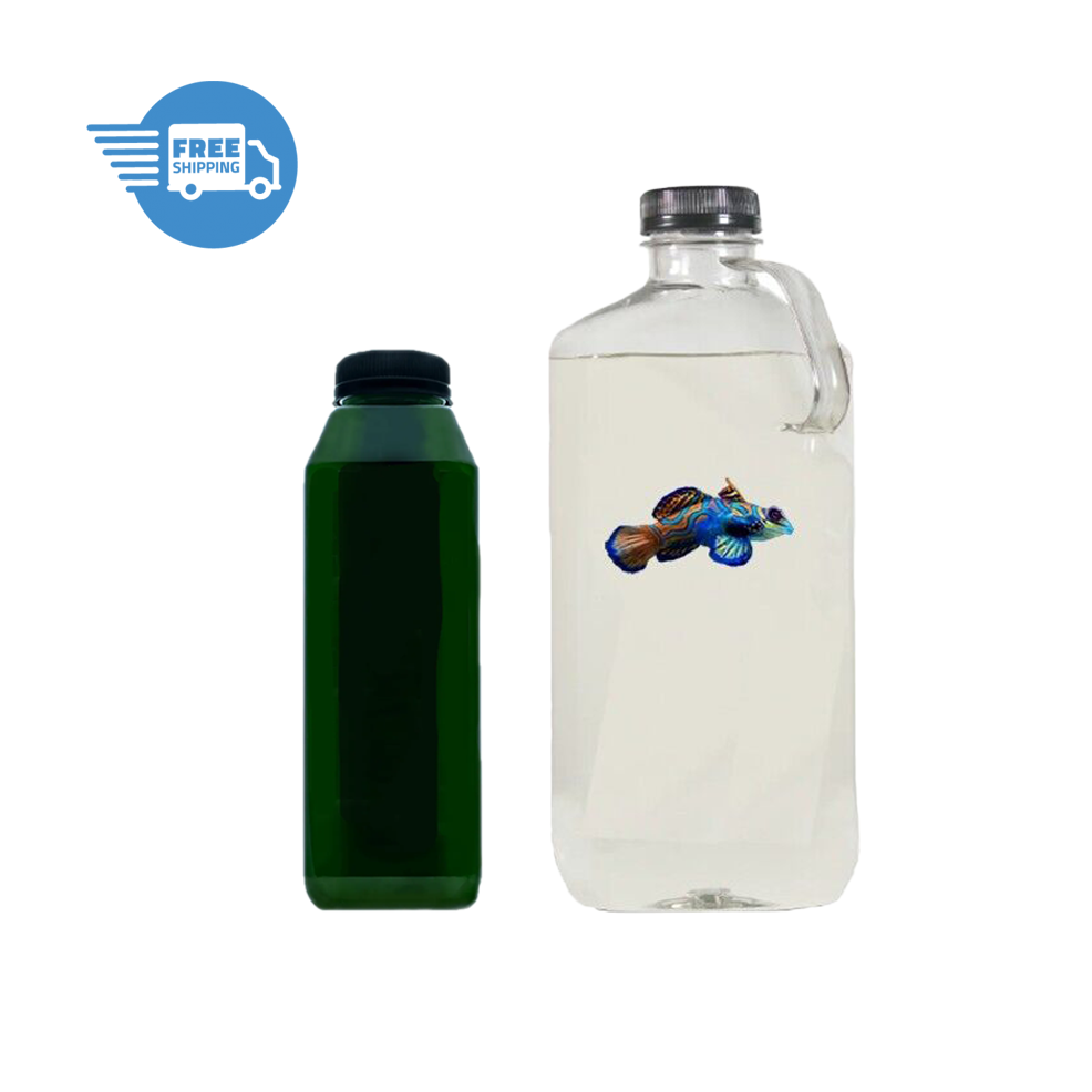 Premium 32oz 5 Species Copepod Mix - 16oz Live Phytoplankton- Fast Free Shipping