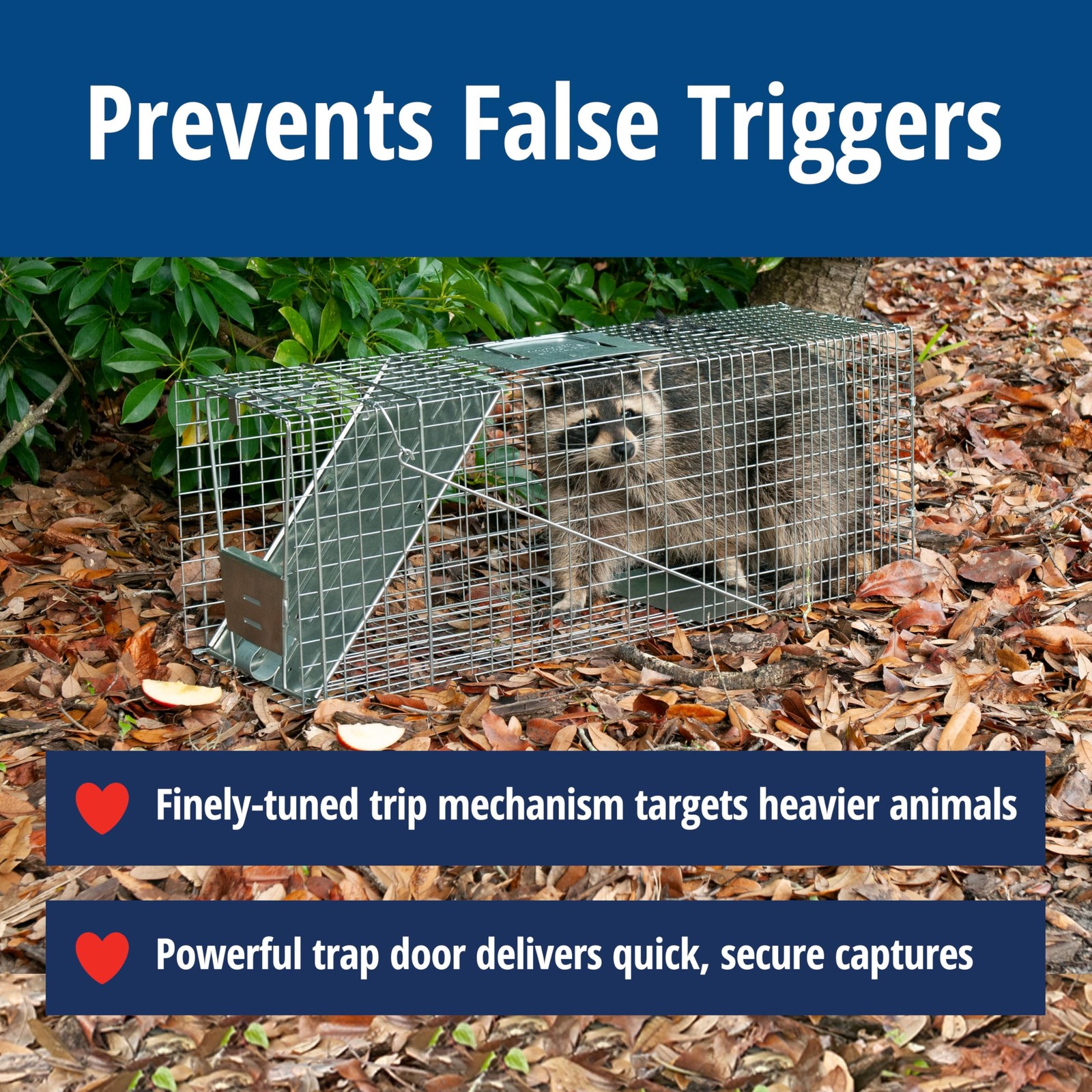 1079SR Large 1Door Humane Catch and Release Live Animal Trap Cage Live Racco...