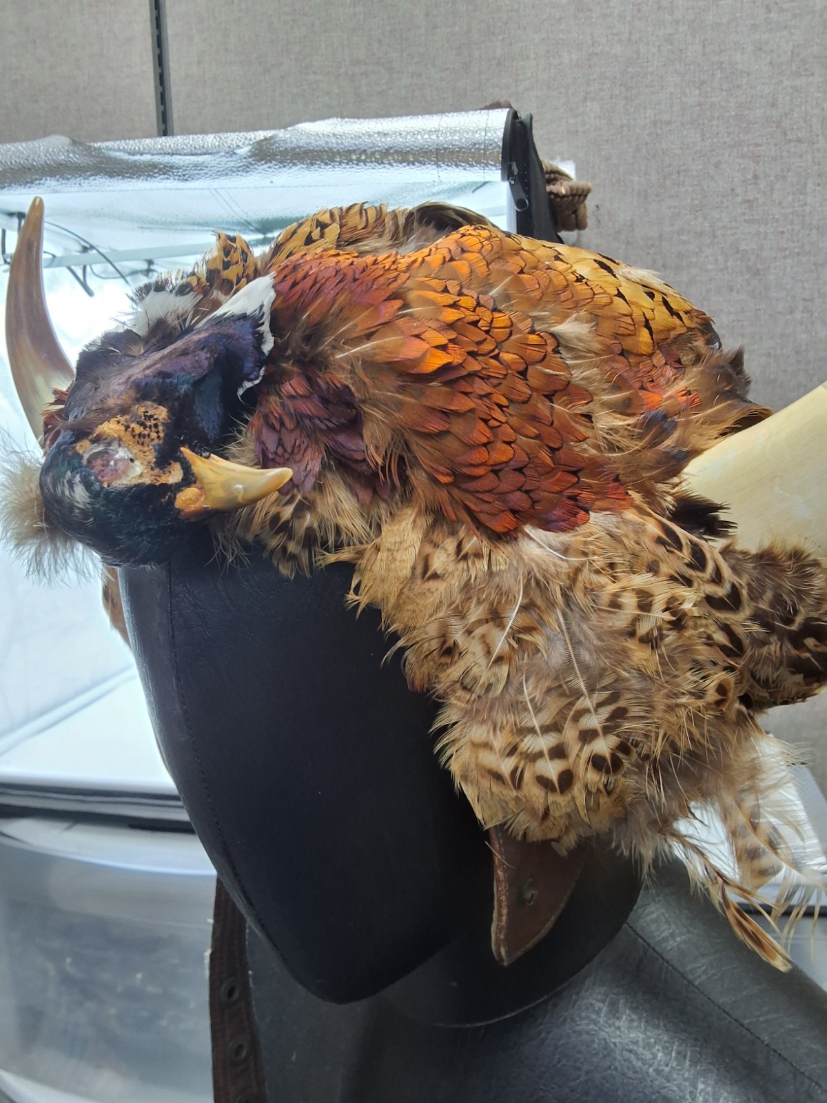 Novelty Taxidermy Leather Pheasant Viking Bomber Hat