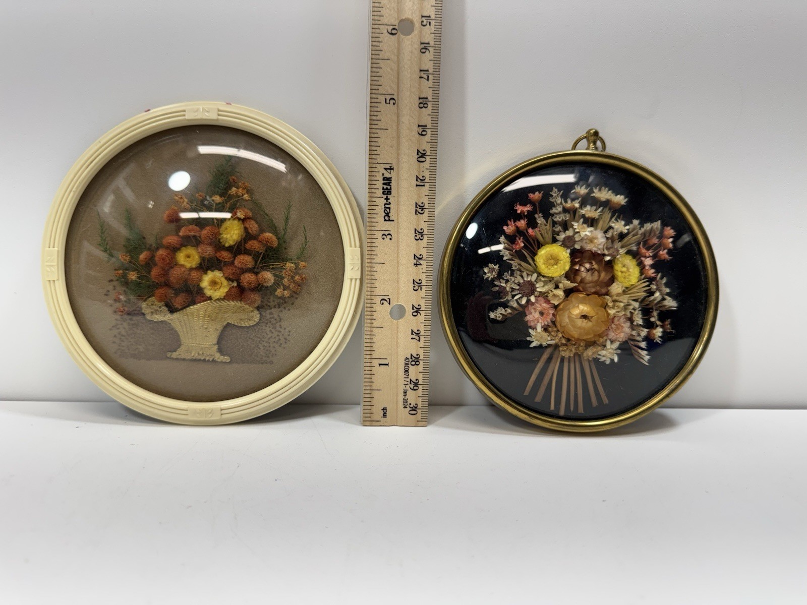 Vintage Belgium Cide Art Dried Flower Art Preserved Under Domed Glass Frame