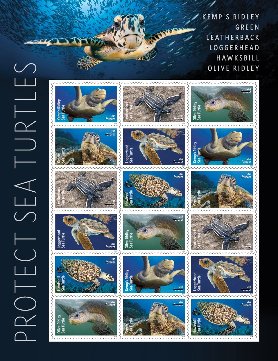 2024 Protect Sea Turtles USPS Sheet of 18 First Class Letter Stamps 78 cents