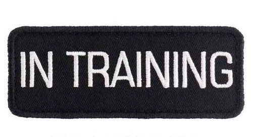 Support Dog Harness ESA Vest Emotional Support Animal Patches ALL ACCESS CANINE™