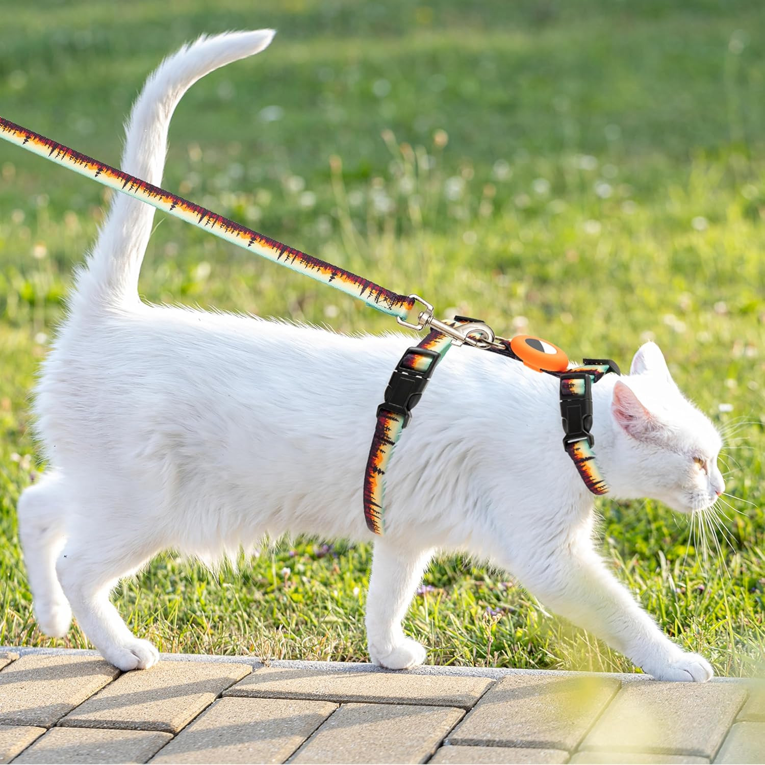 Cat Harness with AirTag Holder & Leash – Escape Proof, Adjustable for Walking