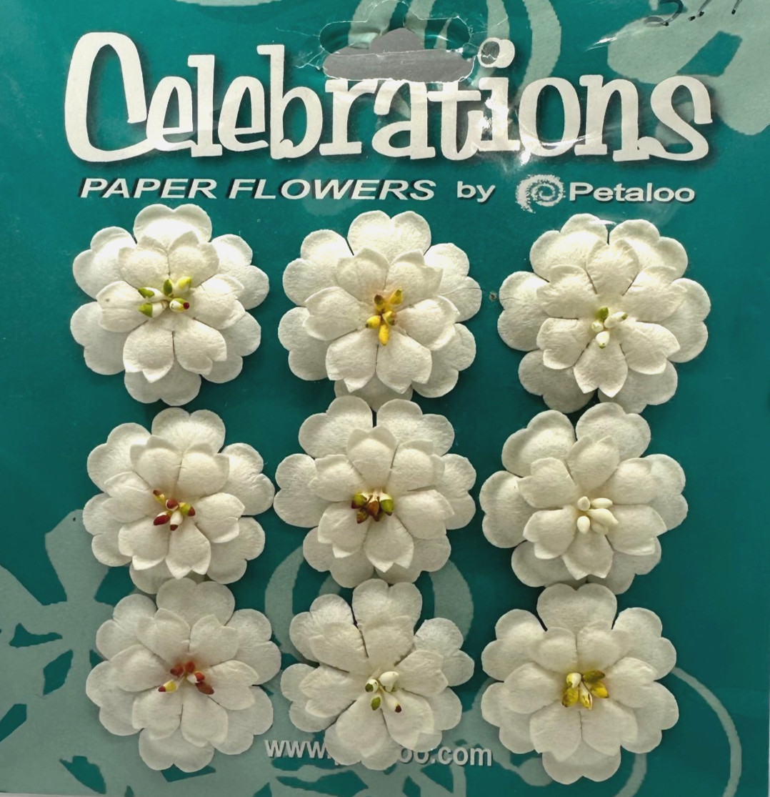 Celebrations Paper Flower by Petaloo Adorable Double Delphiniums cream 9 pc