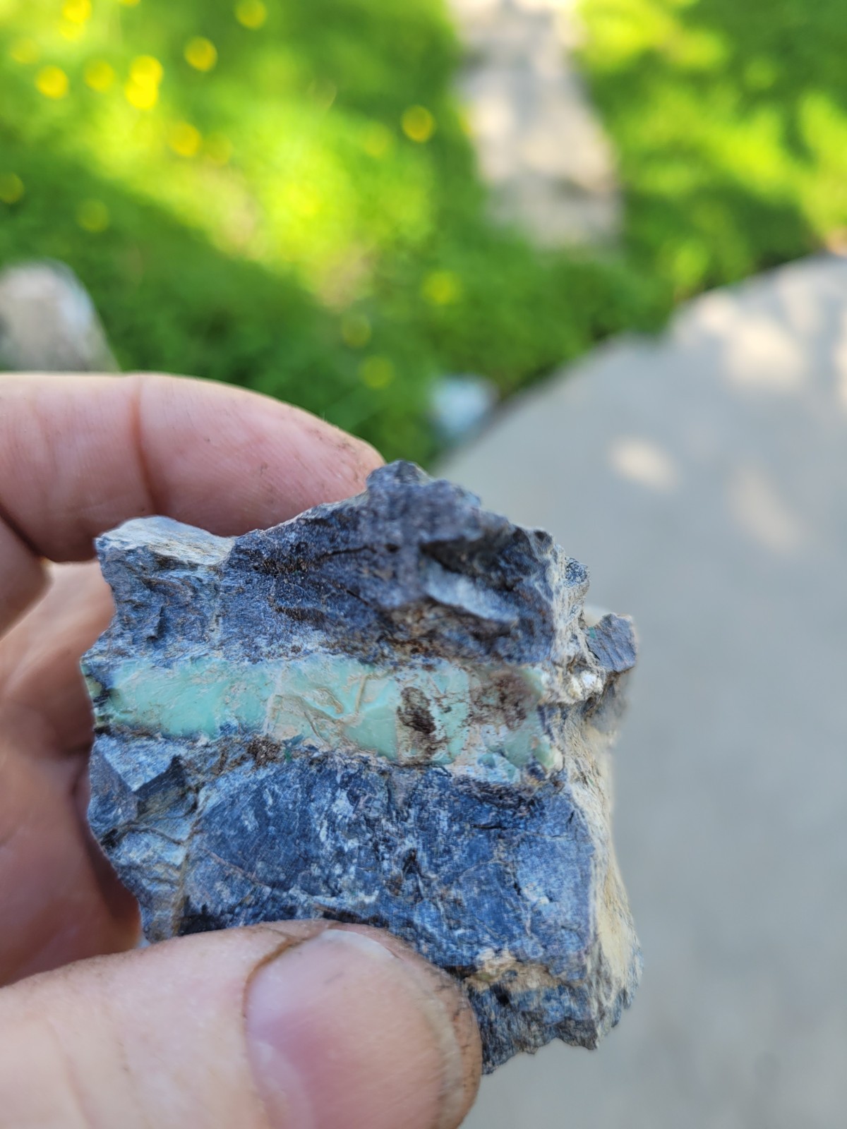 Nice Variscite Rough, Layer in Black Shale Matrix