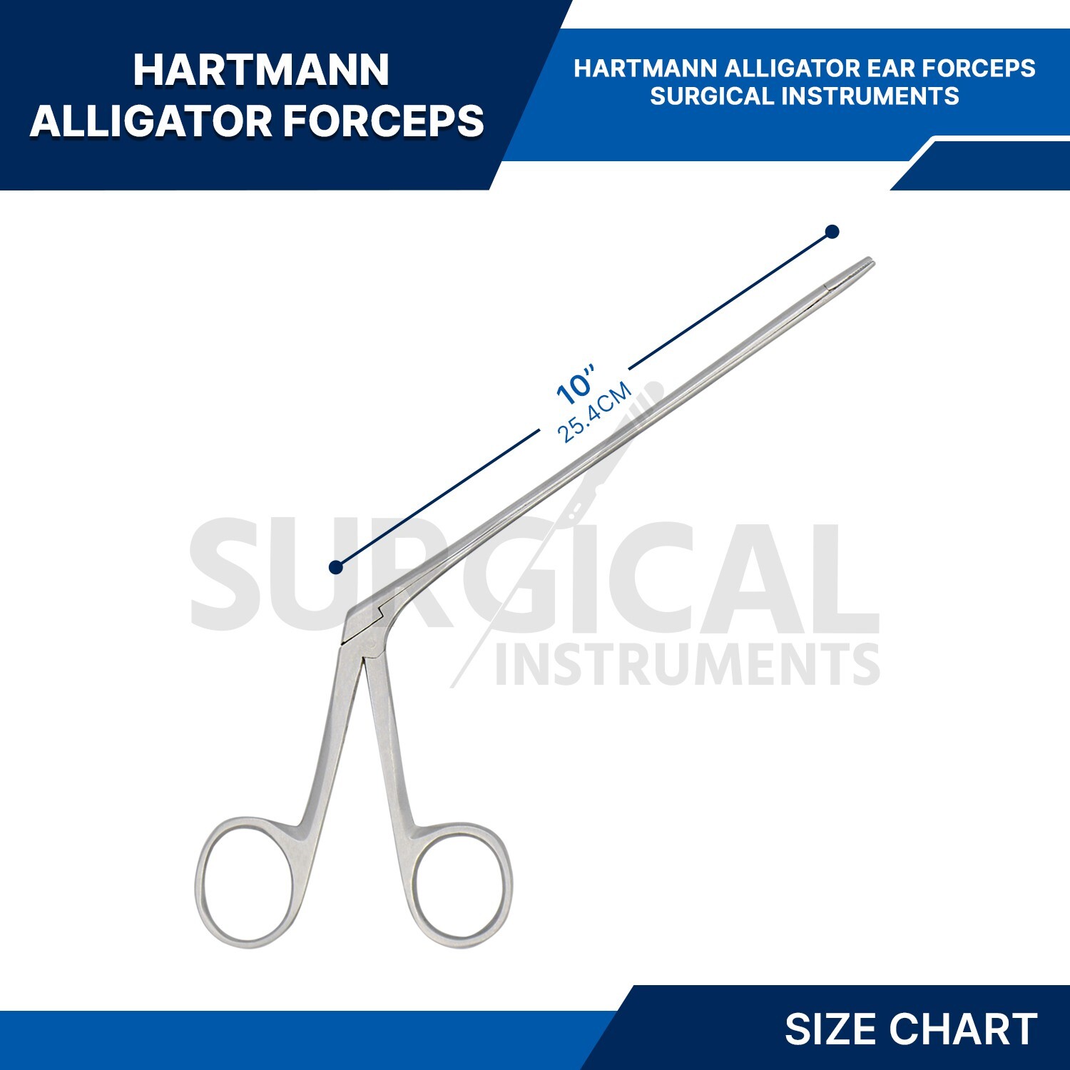 Alligator Forceps Surgical & Veterinary Instruments 10" Stainless German Grade