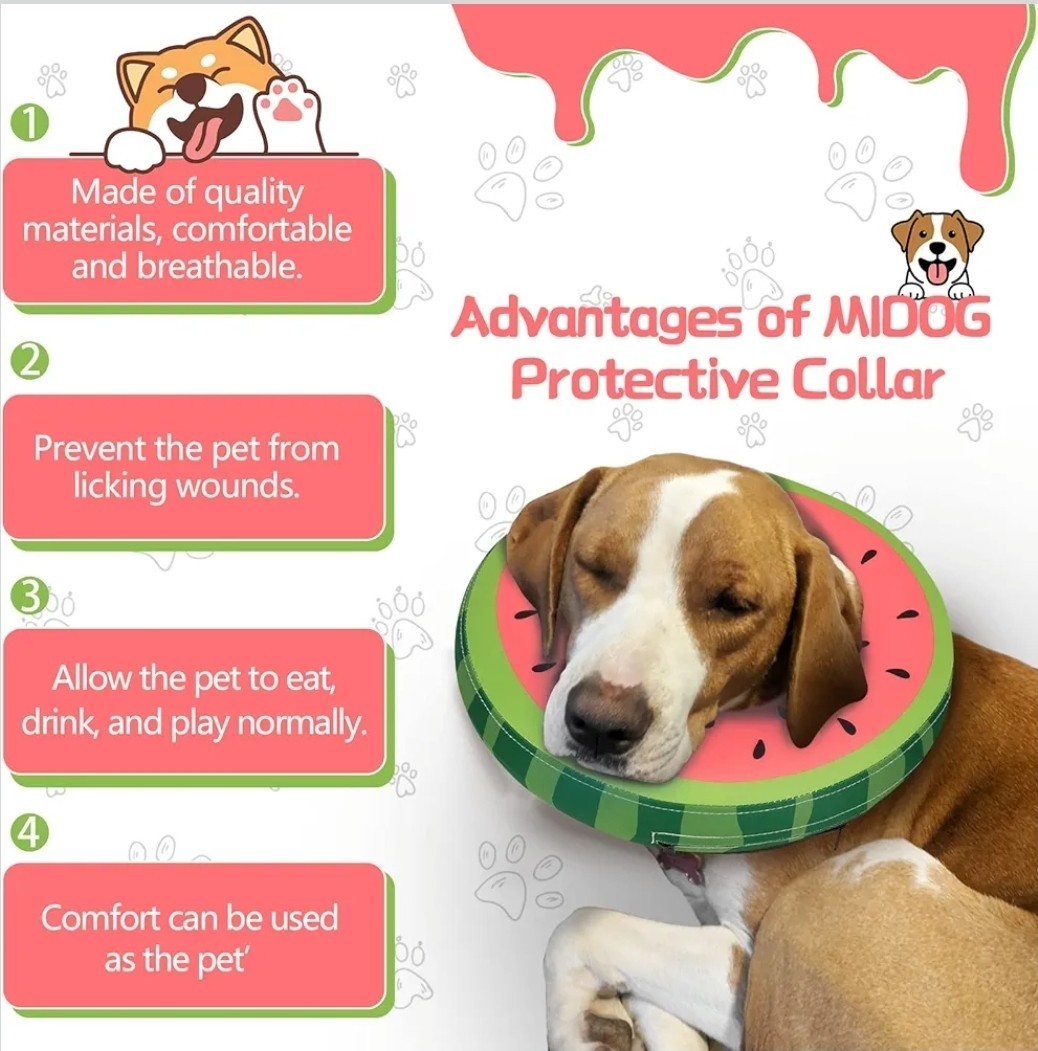 Soft Inflatable Dog Cone, Donut E-Collar Alternative for After Surgery size L