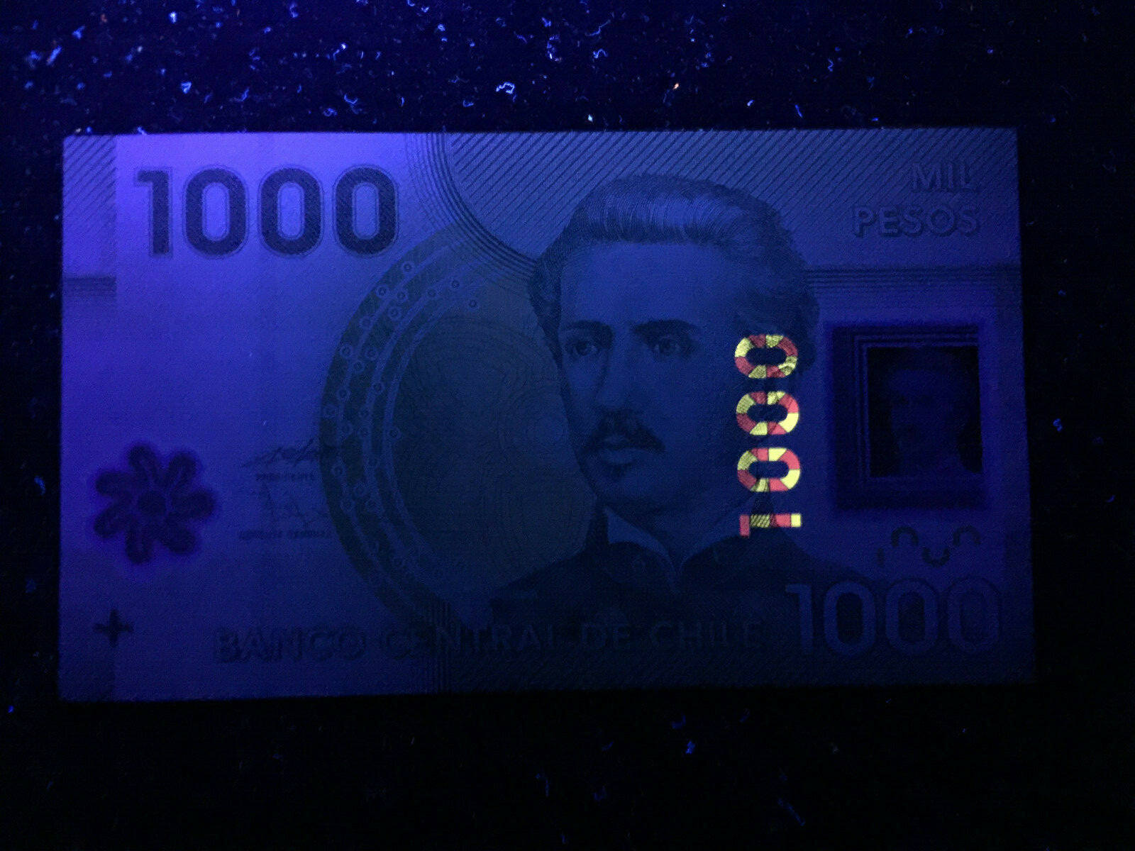 Chile 1000 Pesos 2014 Polymer Banknote World Paper Money UNC Currency Bill Note