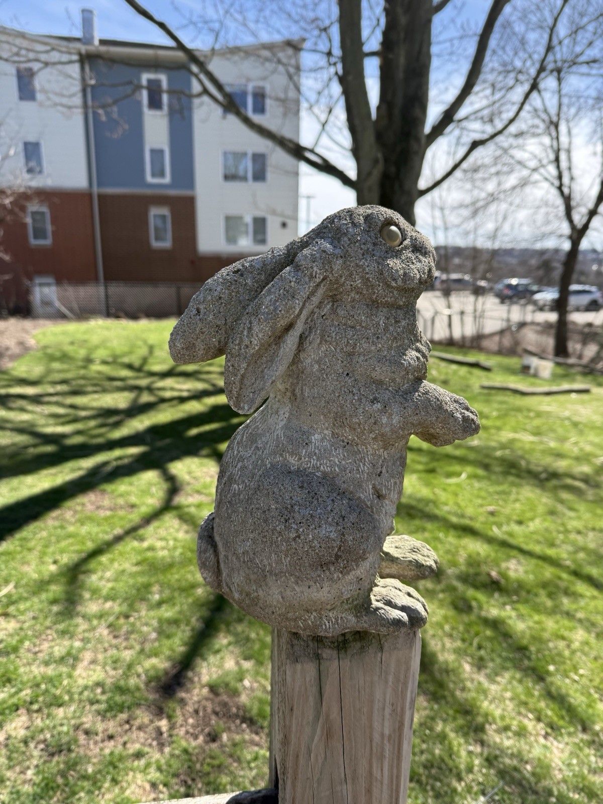 Vintage English Hare concrete bunny rabbit garden statue art