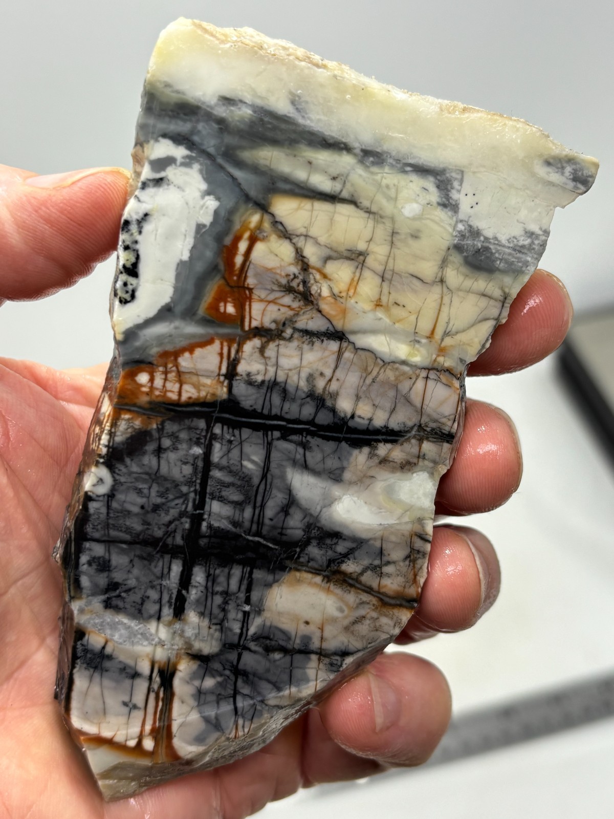 Picasso Marble (Jasper) end Slab Cabbing Lapidary Utah Combo Ship Avail
